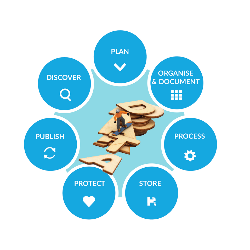 Steps in the DMP life cycle