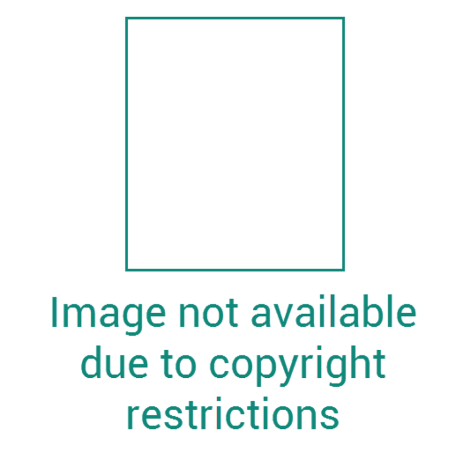 Ein leeres Quadrat mit dem Text: "Image not available due to copyright restrictions"